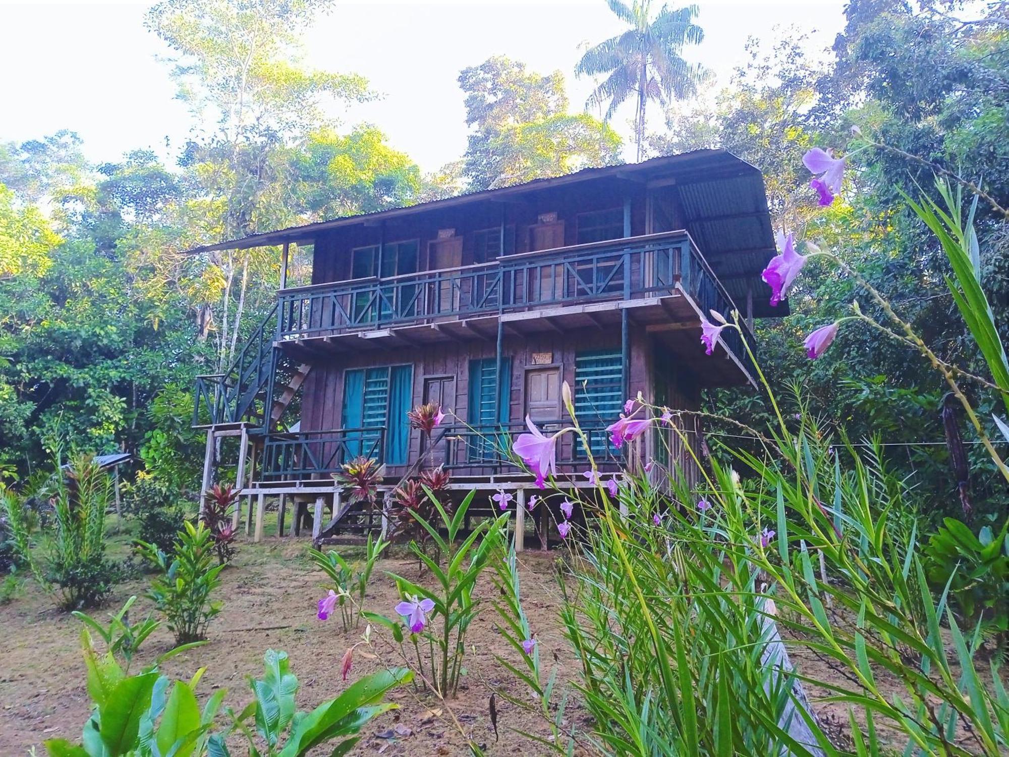 Cabanas Eco Logicas Mu'Ue Loreto Mocagua Buitenkant foto