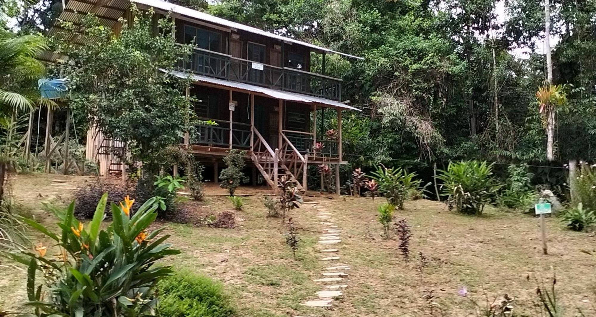 Cabanas Eco Logicas Mu'Ue Loreto Mocagua Buitenkant foto